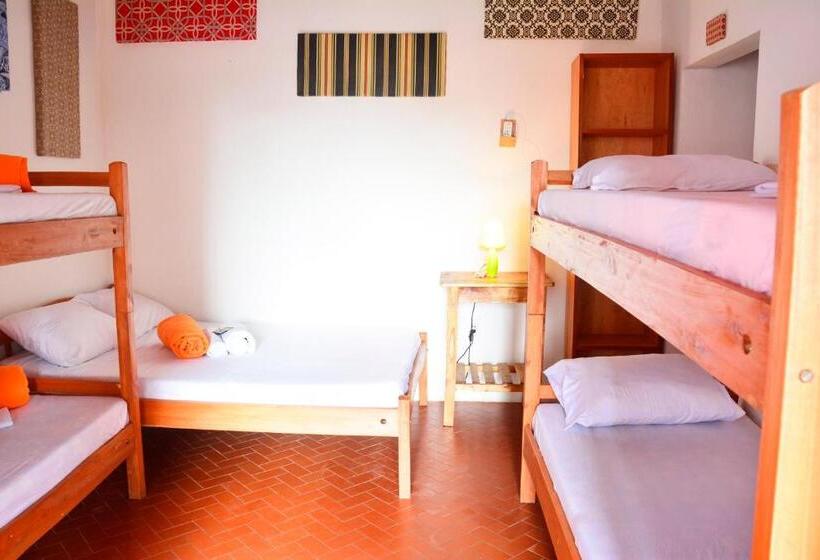اتاق سوپریور خانوادگی, El Viajero Asuncion Hostel & Suites