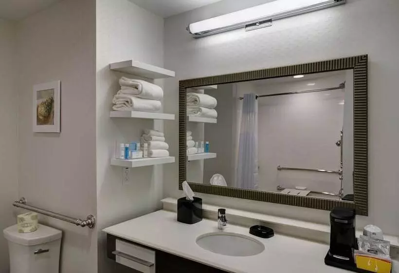 身障者適用スタンダードルーム, Hampton Inn & Suites Vero Beach Downtown