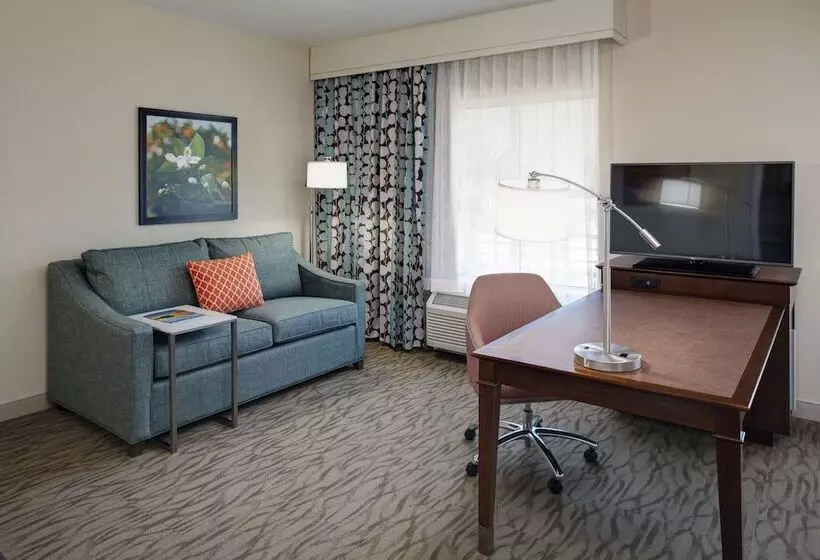 身障者適用スタンダードルーム, Hampton Inn & Suites Vero Beach Downtown