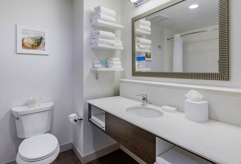 غرفة قياسية لذوى الاحتياجات الخاصة, Hampton Inn & Suites Vero Beach Downtown