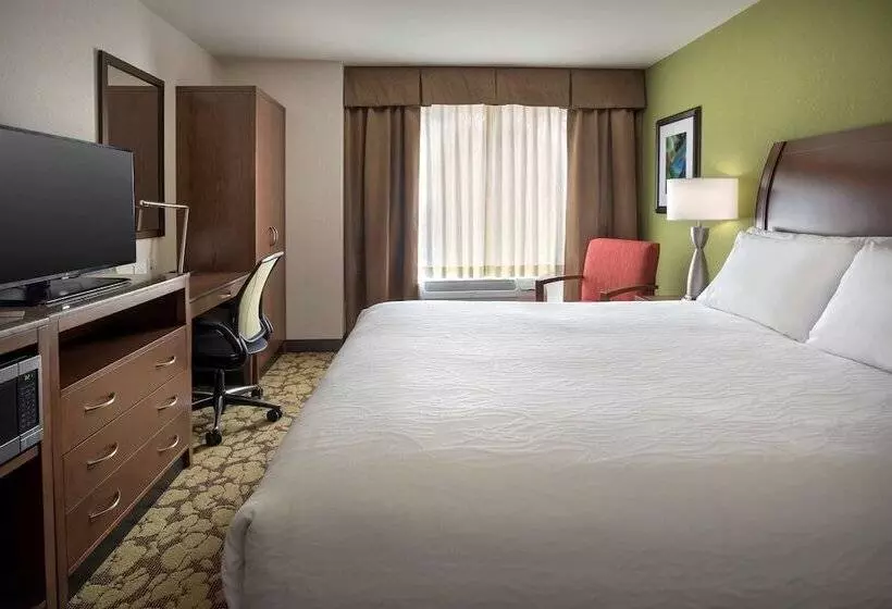 Standard-invahuone King-vuode, Hilton Garden Inn Chicago Downtown Riverwalk