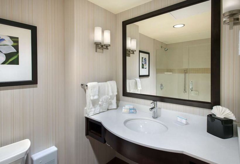 Camera Standard Letto King Accessibile ai persone con mobilità ridotta, Hilton Garden Inn Chicago Downtown Riverwalk