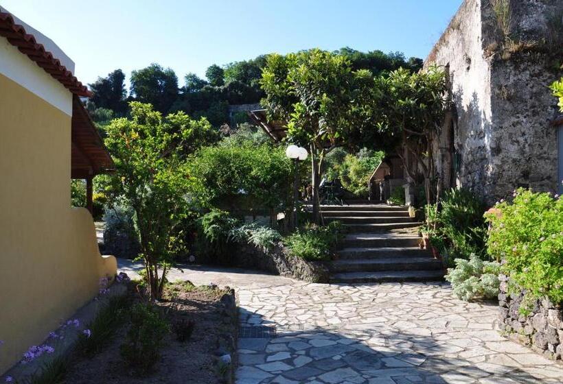 غرفة قياسية فردية, La Marticana