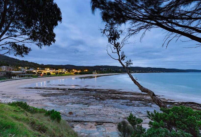 Номер Стандарт, Lorne