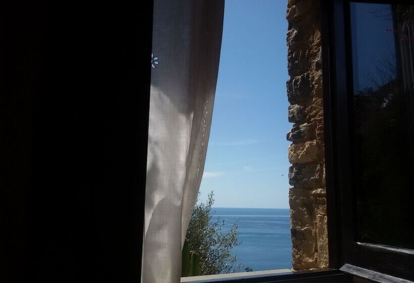 חדר קלאסי, Marulivo