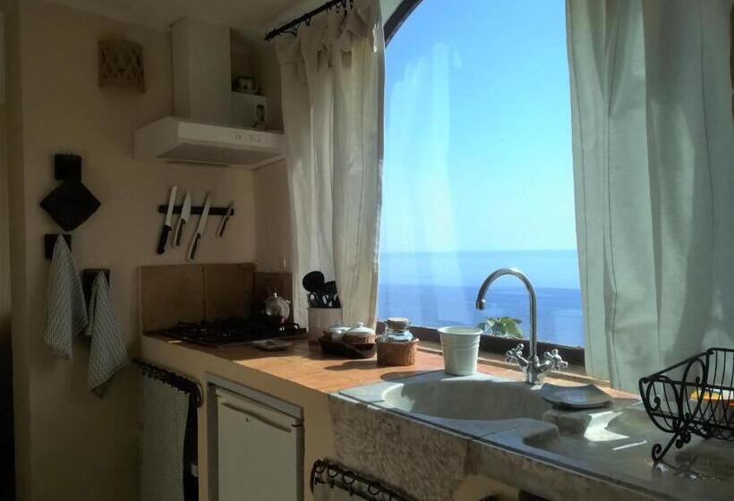 דירת חדר עם טרסה, Marulivo