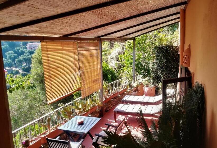 דירת חדר עם טרסה, Marulivo