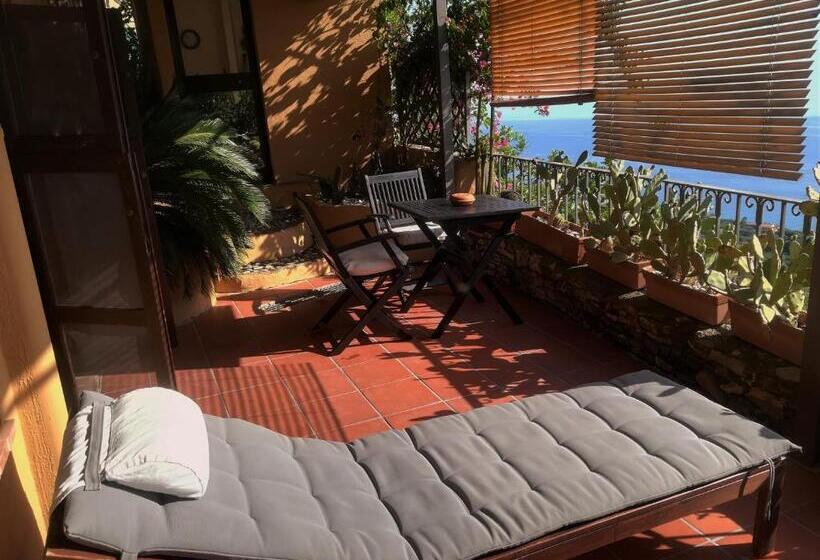 דירת חדר עם טרסה, Marulivo