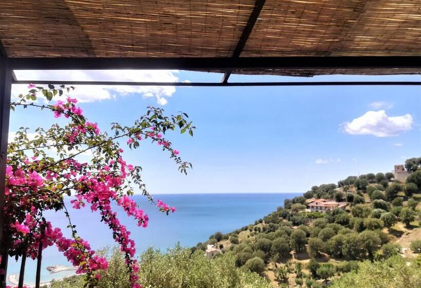 דירת חדר עם טרסה, Marulivo