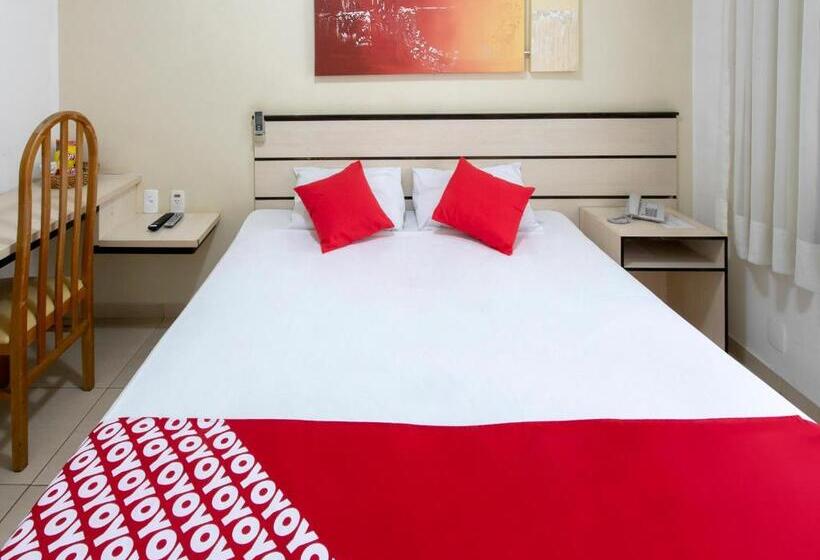 스탠다드 룸, Polo