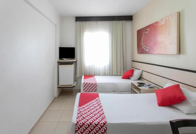 스탠다드 룸, Polo