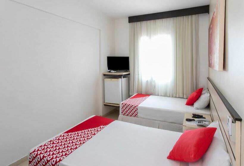 스탠다드 룸, Polo