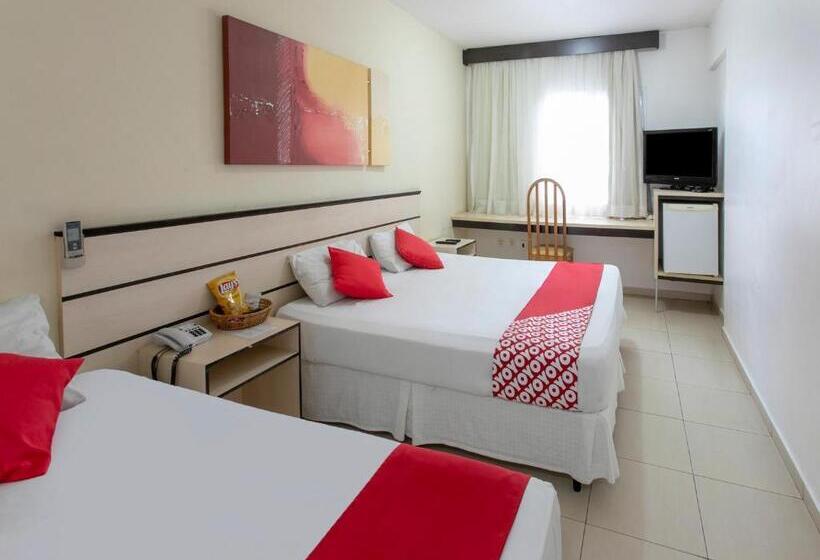 스탠다드 트리플 룸, Polo