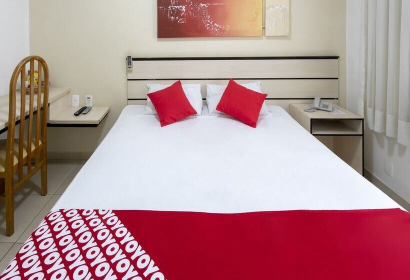 스탠다드 룸, Polo