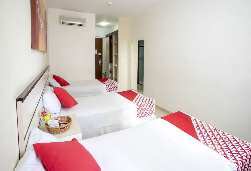 스탠다드 트리플 룸, Polo