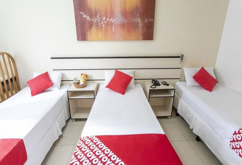 스탠다드 트리플 룸, Polo