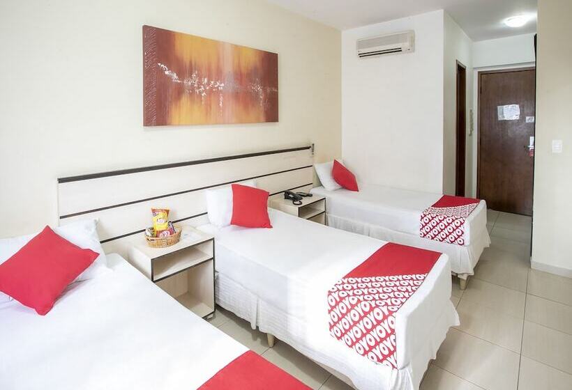 스탠다드 트리플 룸, Polo