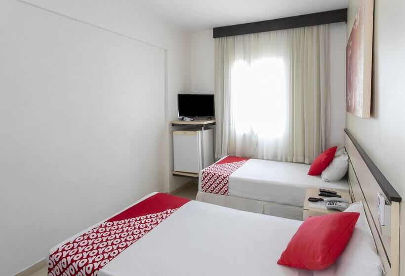 스탠다드 룸, Polo