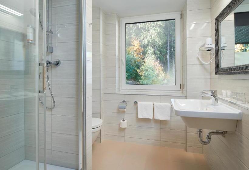 غرفة ديلوكس, Spa Hotel Devin