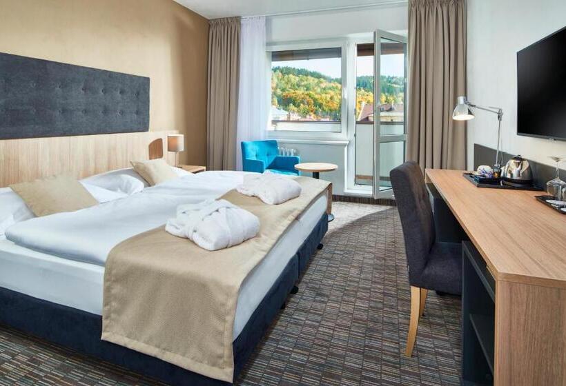 デラックスルーム, Spa Hotel Devin