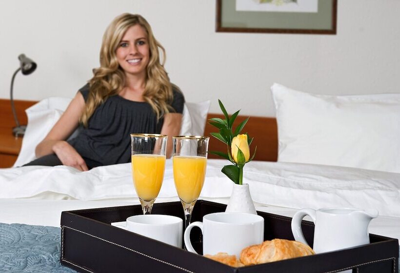 スタンダードルーム, Spa Hotel Devin
