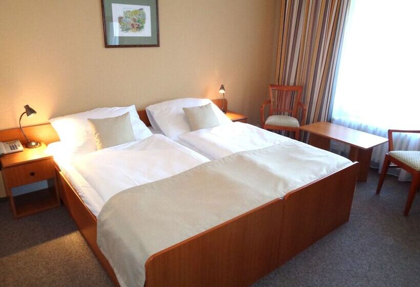 غرفة قياسية, Spa Hotel Devin