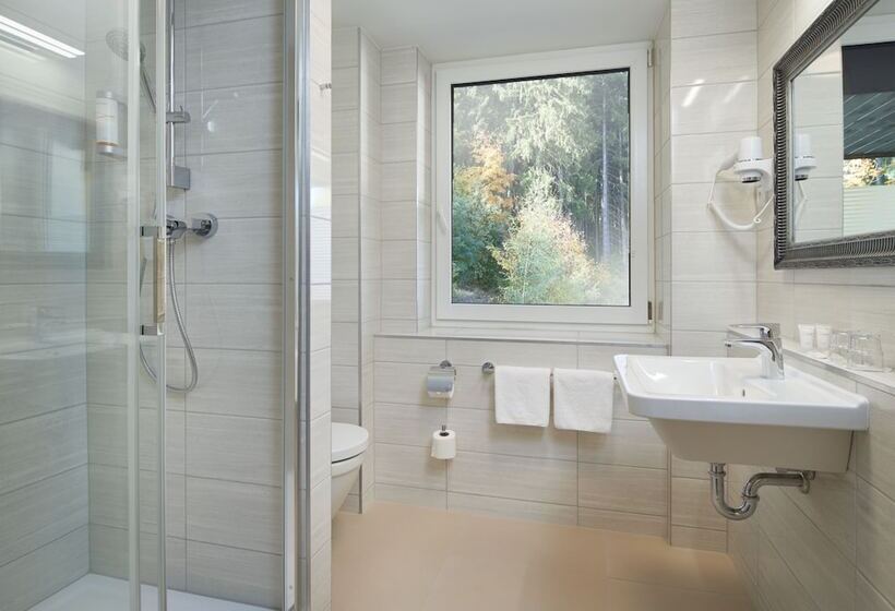 غرفة ديلوكس, Spa Hotel Devin