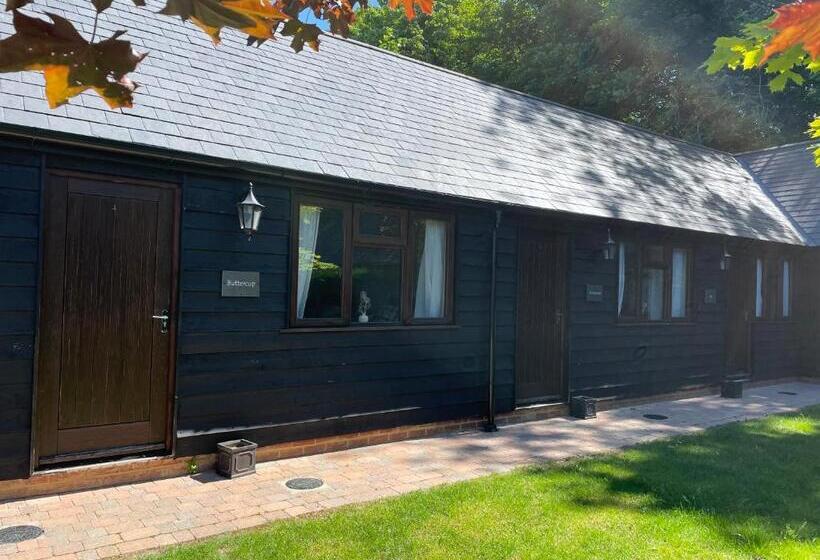 חדר סטנדרט, The Black Horse Inn