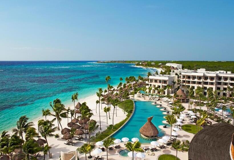 سوئیت جونیور کلوب با چشمانداز دریا, Secrets Akumal Riviera Maya   Adults Only
