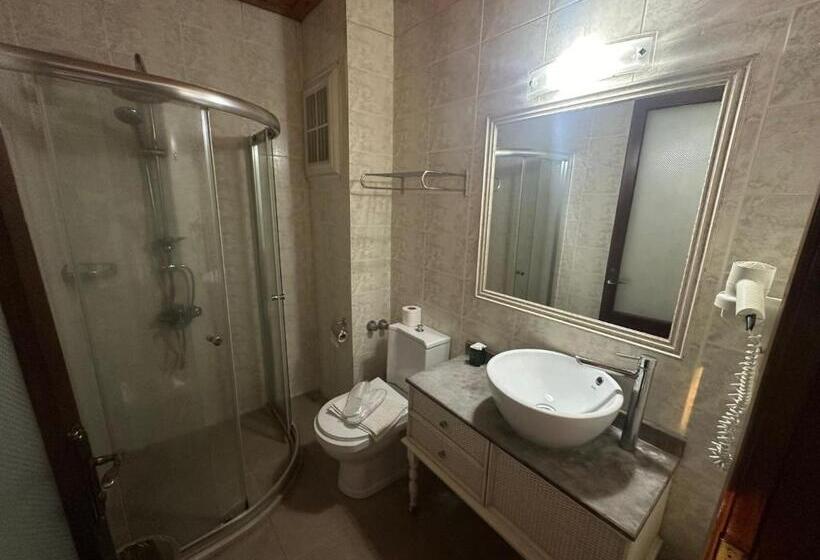 חדר סטנדרט עם מרפסת, Akkent Garden