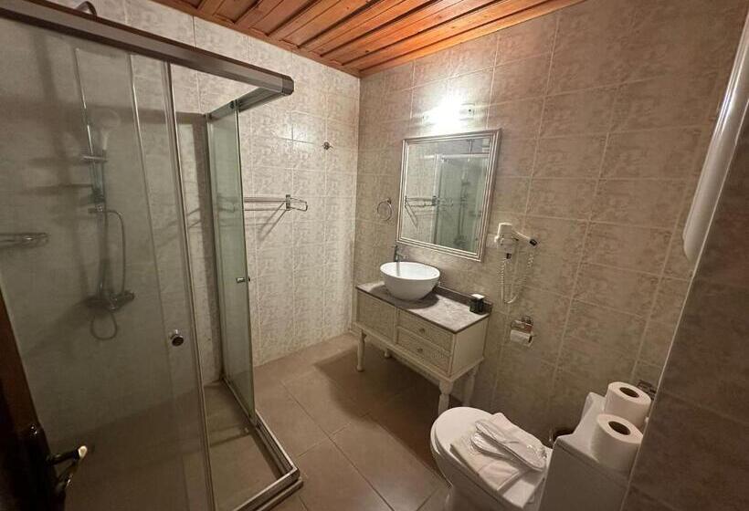 חדר סטנדרט עם מרפסת, Akkent Garden