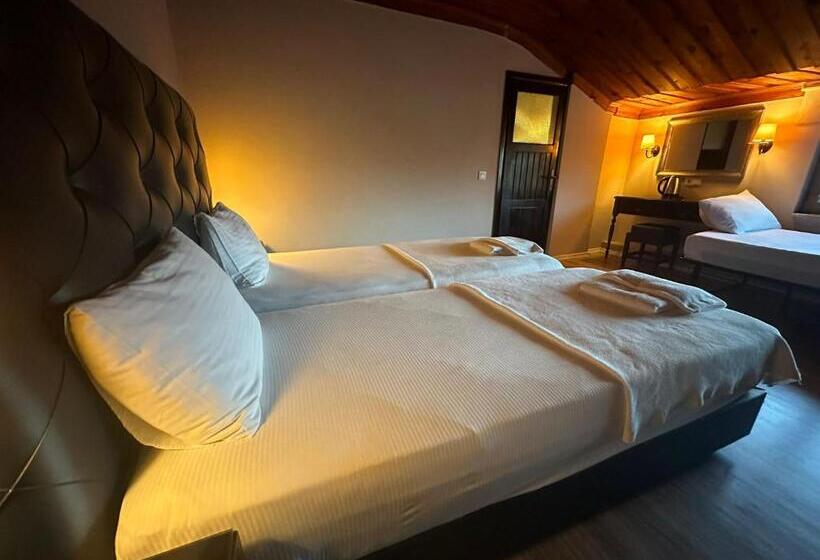 חדר סטנדרט לשלושה, Akkent Garden