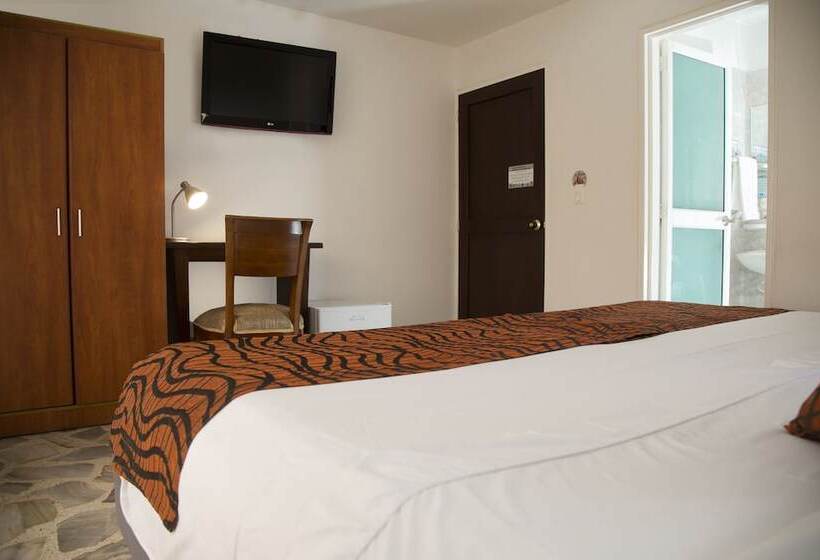 标准单人间, Flamingo Cali