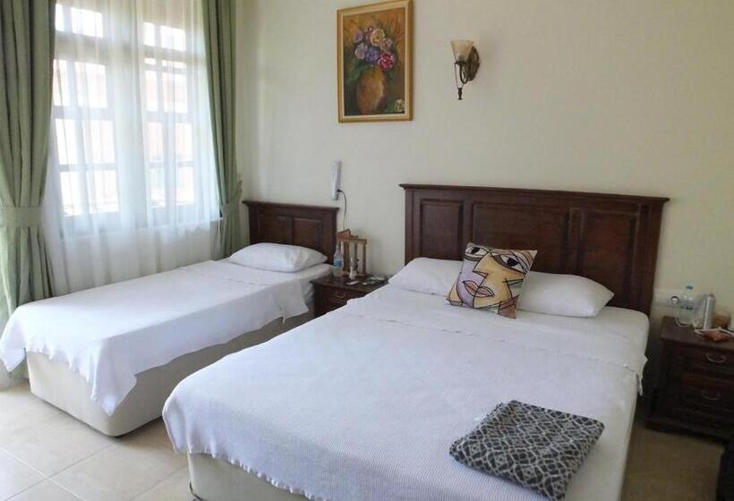 اتاق لوکس سه تخته, Hadrian Gate