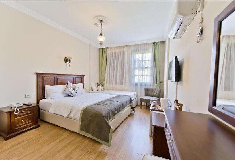 اتاق لوکس سه تخته, Hadrian Gate