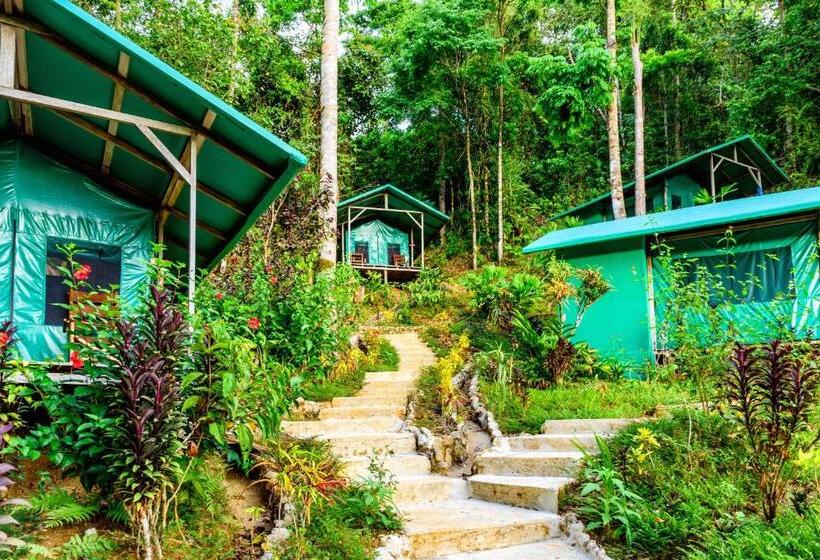 كوخ قياسي, Luna Lodge