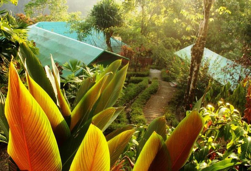 كوخ قياسي, Luna Lodge