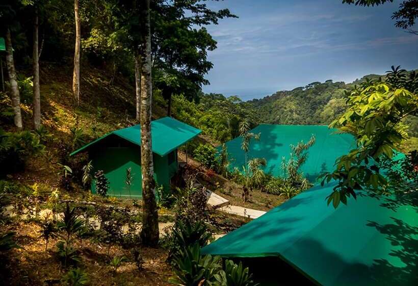Standard Tent, Luna Lodge