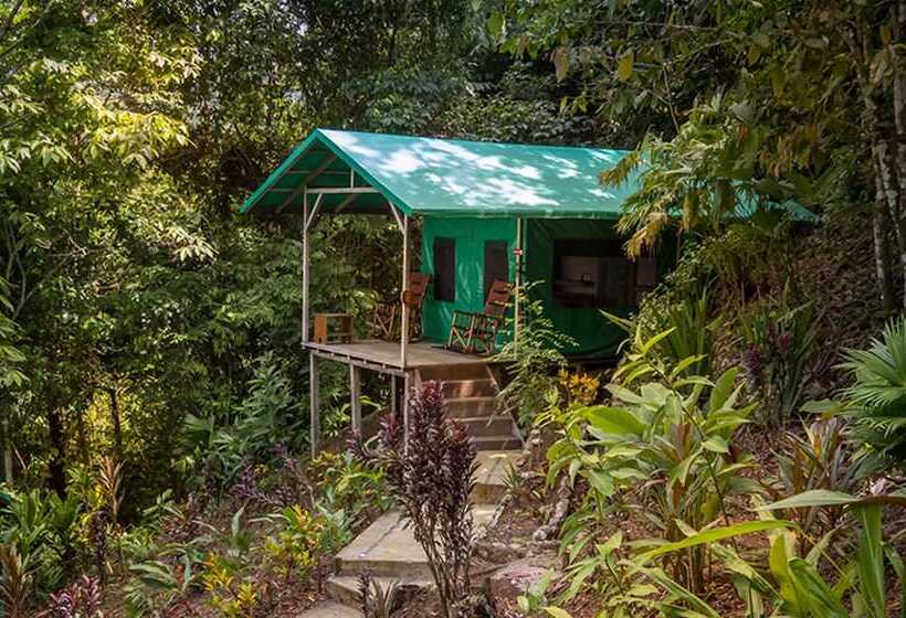 كوخ قياسي, Luna Lodge