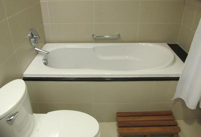 اتاق لوکس با تخت بزرگ, Nhi Phi