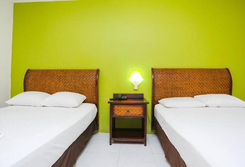 ２ダブルベッドのスタンダードルーム, Parador