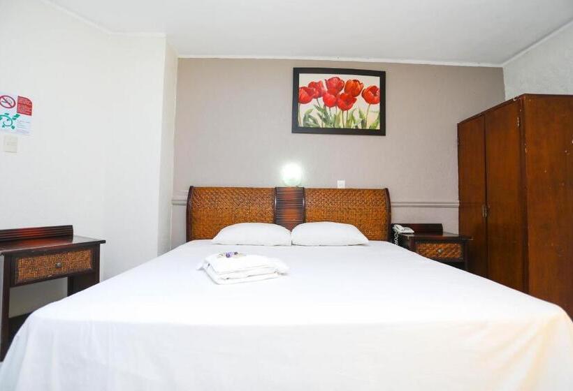 キングサイズベッドのスタンダードルーム, Parador