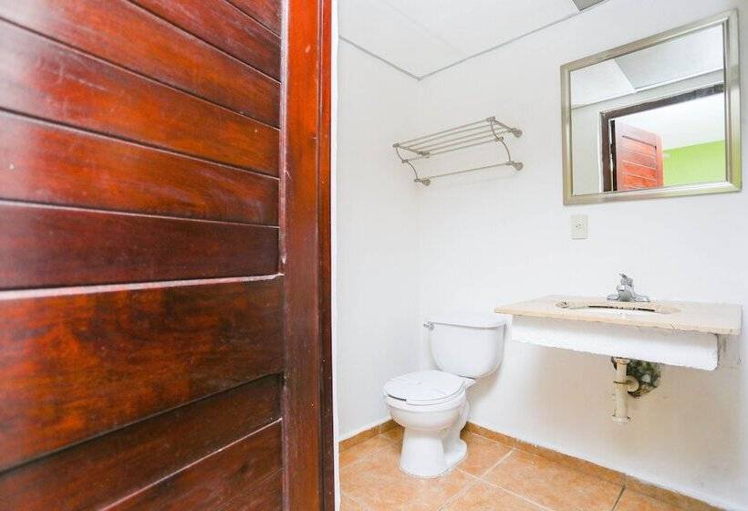 ２ダブルベッドのスタンダードルーム, Parador