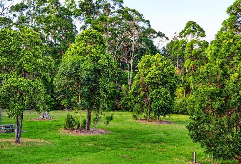 家庭间, Cbd Motor Inn