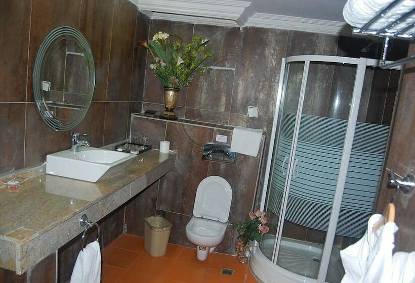 اتاق سوپریور, Chelsea Hotel Central Area