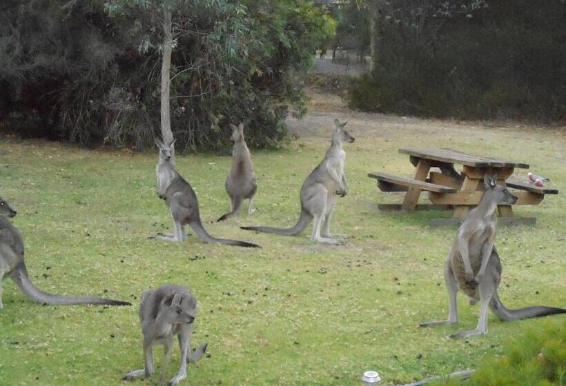 Вилла 2 Спальни, Grampians View Cottages And Units