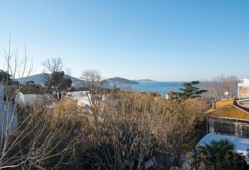 豪华海景房, Buyukada Cankaya