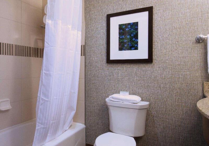 جناح سرير كينج, Hilton Garden Inn Hickory