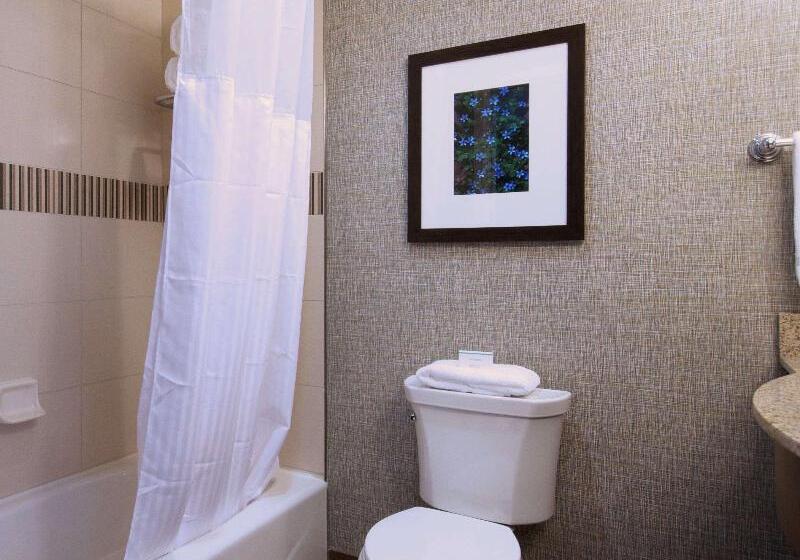 جناح سرير كينج, Hilton Garden Inn Hickory