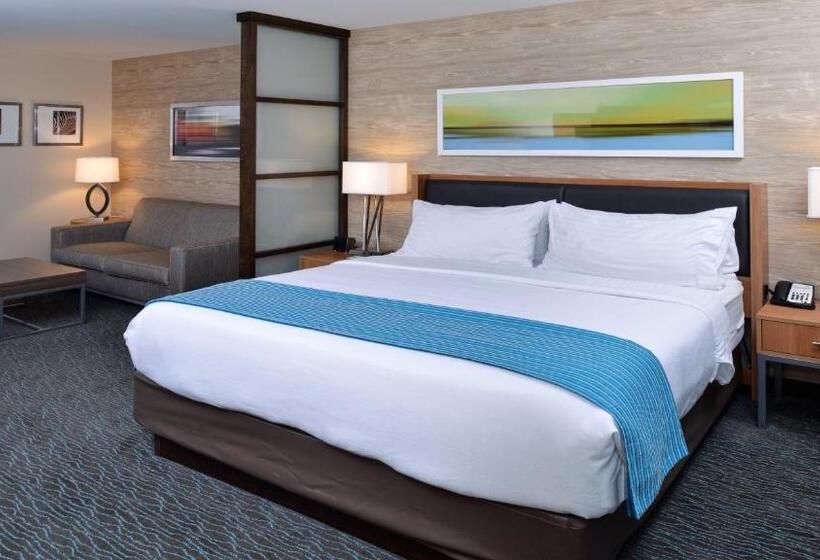 Номер Стандарт с Гидромассажем, Holiday Inn Hotel & Suites Edmonton Airport Conference Centre, An Ihg